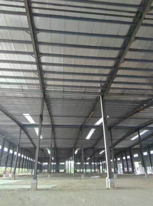 深圳市鋼結(jié)構(gòu)夾層結(jié)構(gòu)安全檢測鑒定單位技術(shù)咨詢今日新聞報道